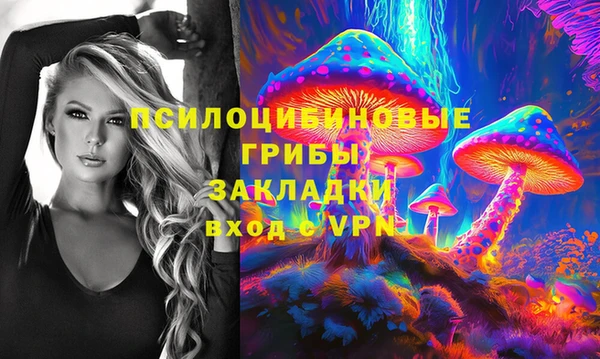 гашик Куйбышев
